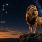 1791926667 leo