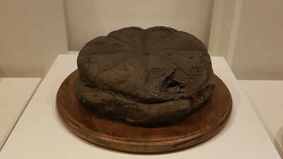a 2000 year old preserved loaf of bread from herculaneum