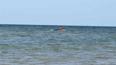 a boat carrying migrants capsized while sailing from djibouti to yemen