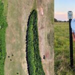 a louisiana landowner bought 300 acres to raise cattle but repeated floods changed his plans he is now restoring wetlands and planting 183 acres of forest to connect wildlife habitats