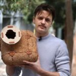 an australian designer develops hempcrete tiles to recreate tree hollows and rocky crevices shelters aim to help threatened wildlife including eastern quolls and ringtail possums