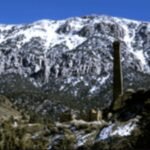 in 1905 a copper discovery created greenwater california a town of 2000 people by 1909 the mining boom had collapsed without producing a profit