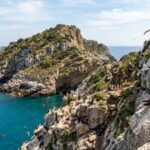 in 2007 black rats were eradicated from italys zannone island by 2016 scopolis shearwater breeding pairs had risen from 27 to 80