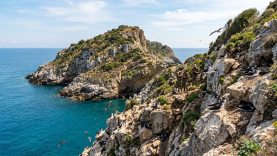 in 2007 black rats were eradicated from italys zannone island by 2016 scopolis shearwater breeding pairs had risen from 27 to 80