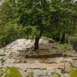 in 2022 us department of agriculture funded a trial by spreading cardboard in gardens to avoid weeds by the second season weeds covered only 15 of the cardboard beds compared to 45 in tilted beds