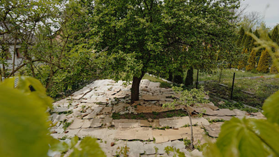 in 2022 us department of agriculture funded a trial by spreading cardboard in gardens to avoid weeds by the second season weeds covered only 15 of the cardboard beds compared to 45 in tilted beds