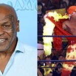 mike tysons co founded company seeks 10 million from hulk hogans estate over a beer brand deal the claim is double the wrestlers reported 5 million probate estate