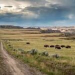 montana conservation group bought 70000 acre ranch once owned by texas billionaires expanding planned nature preserve beyond half a million acres